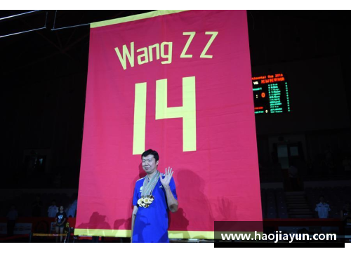 中国退役体育明星及其在退役后的人生转折与成就